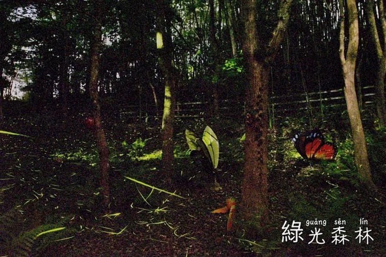 螢火蟲季節